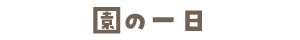 ̈